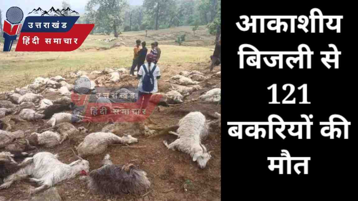 आकाशीय बिजली से 121 बकरियों की मौत