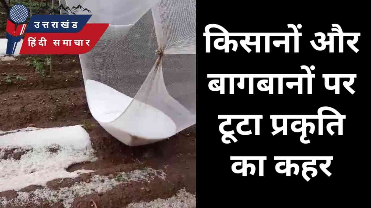 मौसम की मार झेल रहा है किसान औऱ बागवान