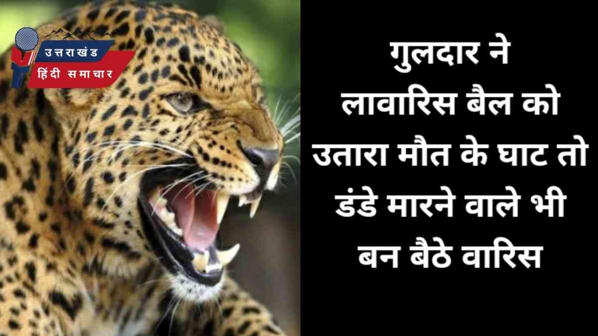 जब जिंदा था तो नहीं ली सुध ,  अब मरने के बाद कई वारिस