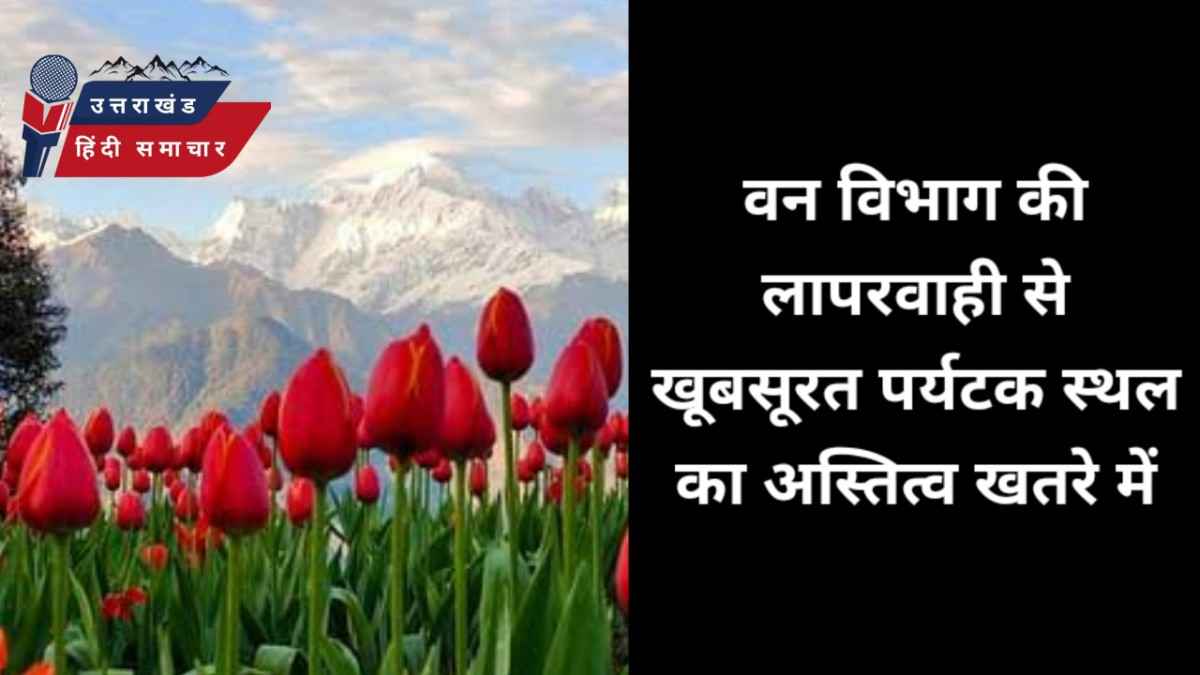लापरवाही : वन विभाग की लापरवाही से पर्यटक निराश