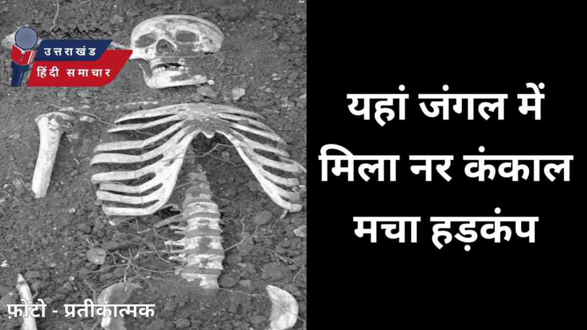 हड़कंप : यहां जंगल में मिला नर कंकाल , मचा हड़कंप