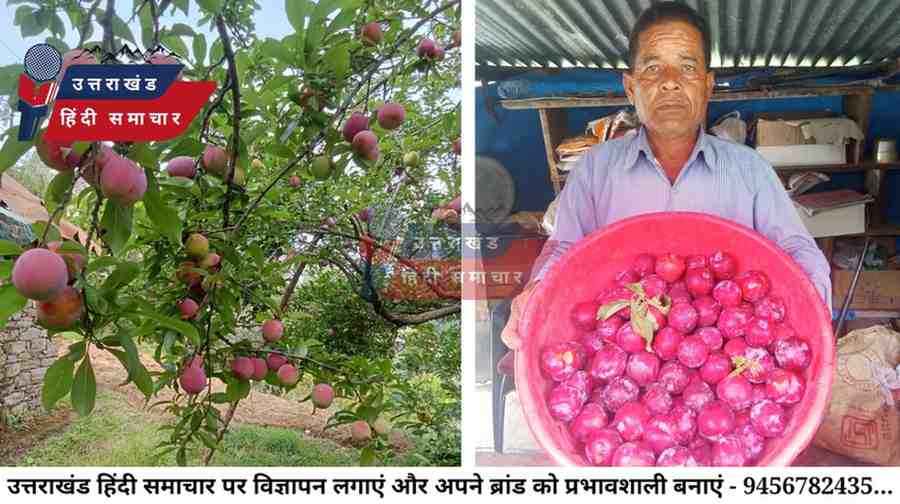 वाह : चम्पावत के शिवराज की मेहनत ला रही है रंग