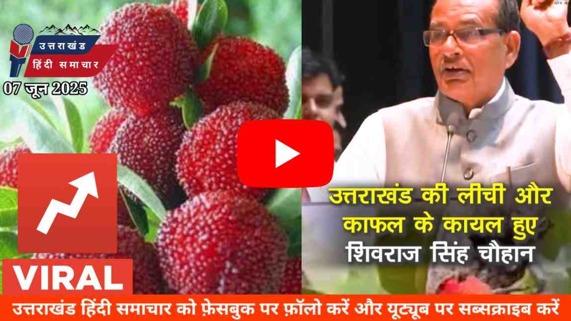 वीडियो : उत्तराखंड के काफल ने की बात ही अलग है - शिवराज सिंह चौहान