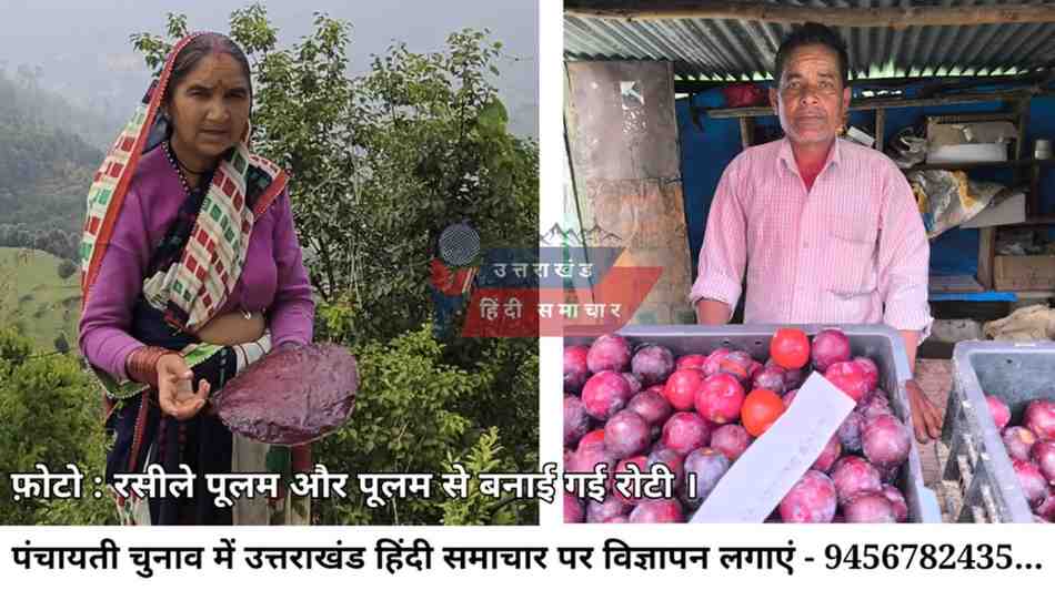 मेहनत और लगन से रसीले मीठे पूलम ने रसगुल्ले को दी मात