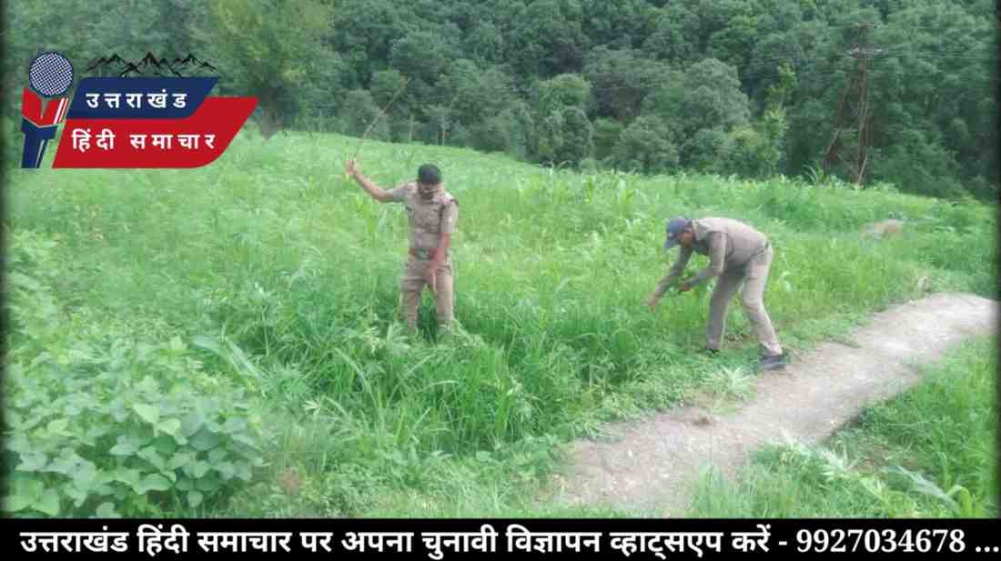 ओस भरी 3 फ़ीट की घास के बीच खेतों में पहुंची पुलिस
