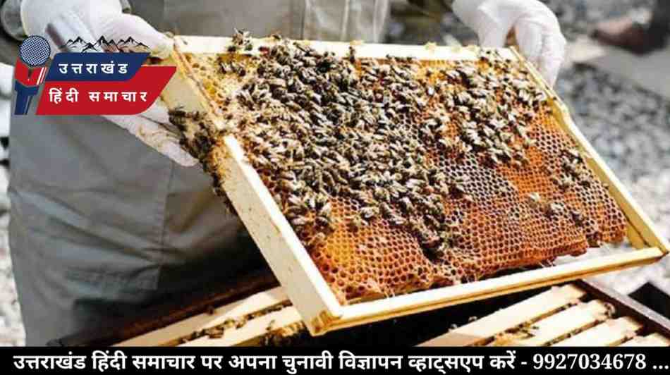 करोड़ों रुपये खर्च , फिर भी चम्पावत में नहीं हो रहा विकास