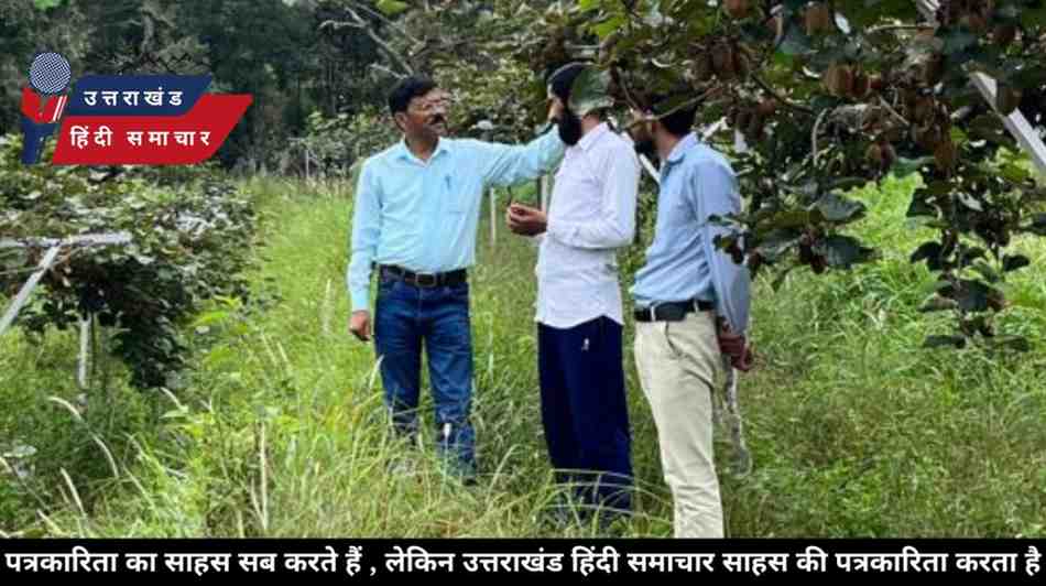 गुड न्यूज़ : कभी पलायन से टूटा चम्पावत का पाटी , आज कीवी की बदौलत लौट रही जिंदगी
