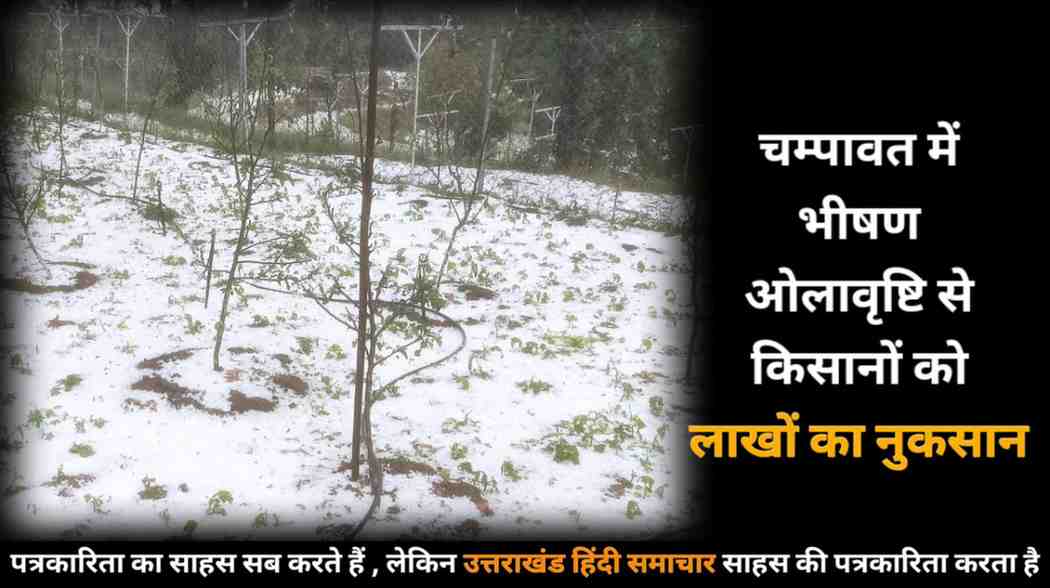 चम्पावत : भीषण ओलावृष्टि से किसानों और बागवानों को लाखों का नुकसान