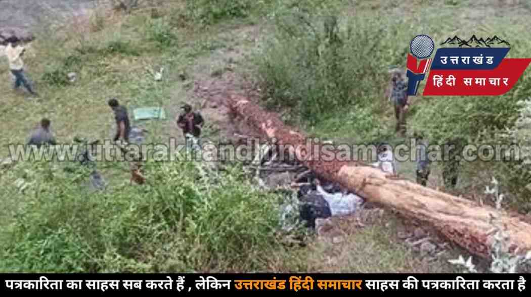 दर्दनाक हादसा : बोलेरो पर गिरा विशाल पेड़ , 4 महिला शिक्षकों की मौत