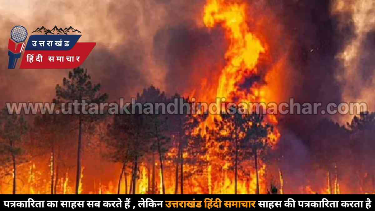 दुखद : फायर वॉचर की जंगल की आग बुझाते समय दर्दनाक मौत