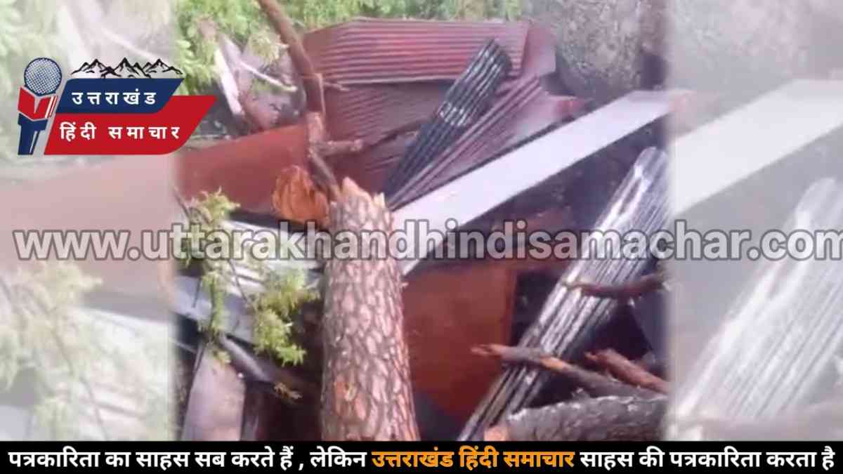दर्दनाक हादसा : घर के अंदर बैठी थीं महिलाएं , तभी ऊपर से टूटा मौत बनकर पेड़