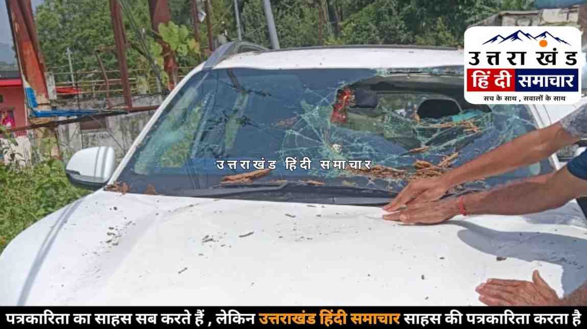 बागेश्वर में कार पर अचानक टूटा विशाल पेड़ , सड़क पर मची अफरा-तफरी