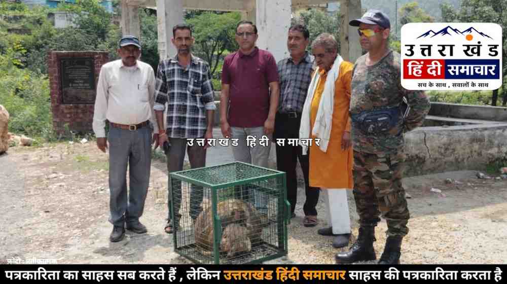 बंदरों के आतंक पर एक्शन ! वन विभाग ने शुरू किया बंदर पकड़ो अभियान