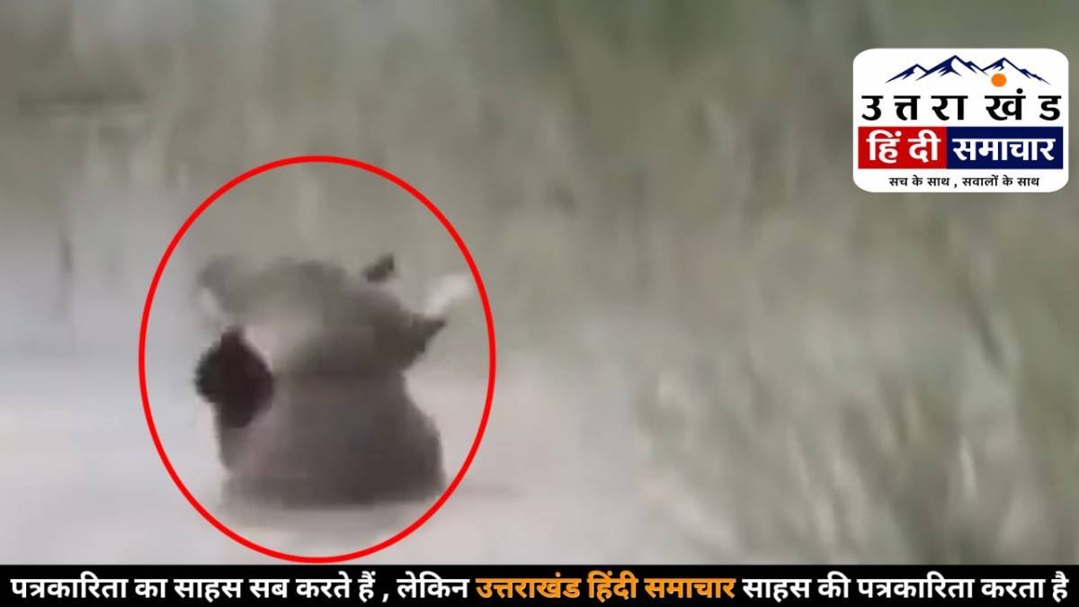 खौफनाक हादसे का वीडियो : चाचा की आंखों के सामने 12 साल के मासूम को जिंदा खींच ले गया खूंखार शिकारी