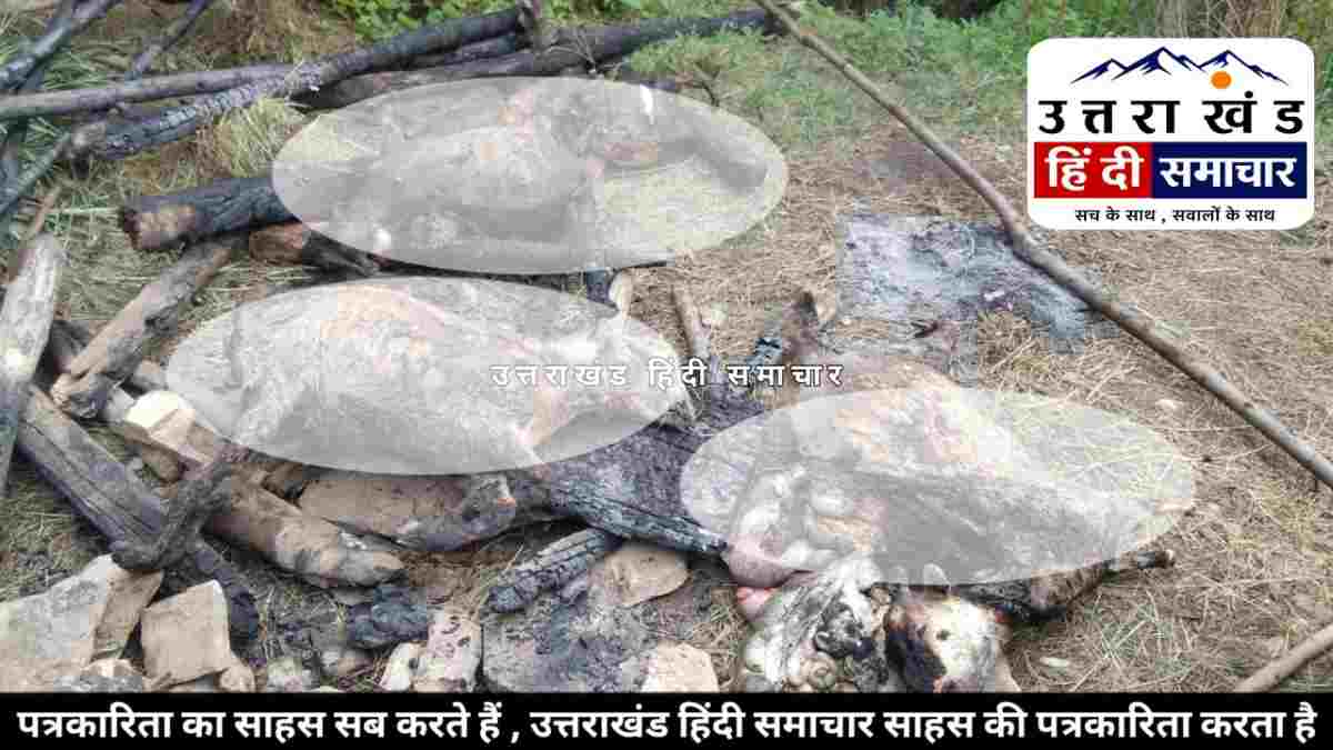 दर्दनाक : चम्पावत के पाटी में दर्दनाक अग्निकांड ! गौशाला में जिंदा जल गए 6 बेजुबान , मंजर देख कांप उठे लोग