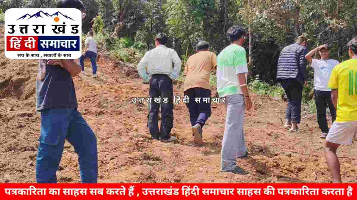 दबंगई : चम्पावत में रातों - रात जंगल चीरकर काट दी सड़क , 25 बांज के पेड़ कटने का खुलासा