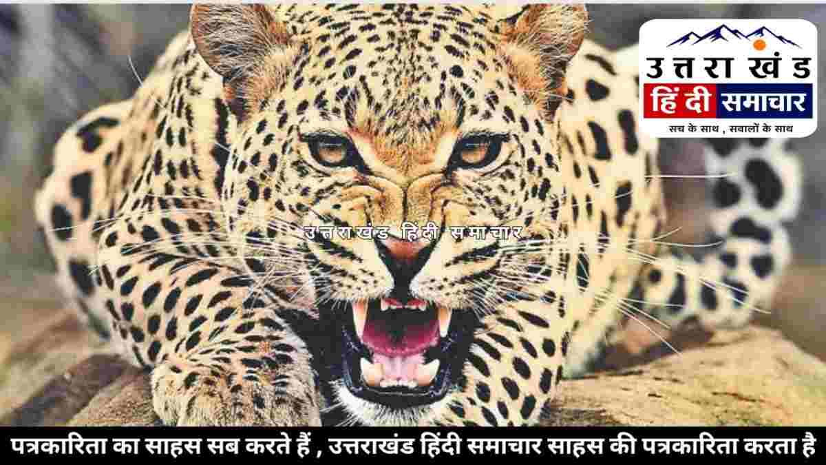 दर्दनाक : गुलदार का खूनी हमला ! घास काटने गई महिला को बनाया निवाला