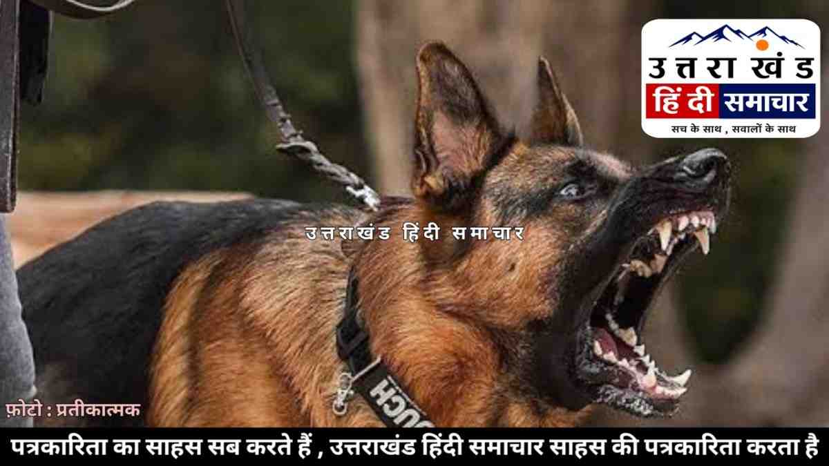 हमला : पूजा से लौट रहे लोगों पर जर्मन शेफर्ड का खूनी हमला